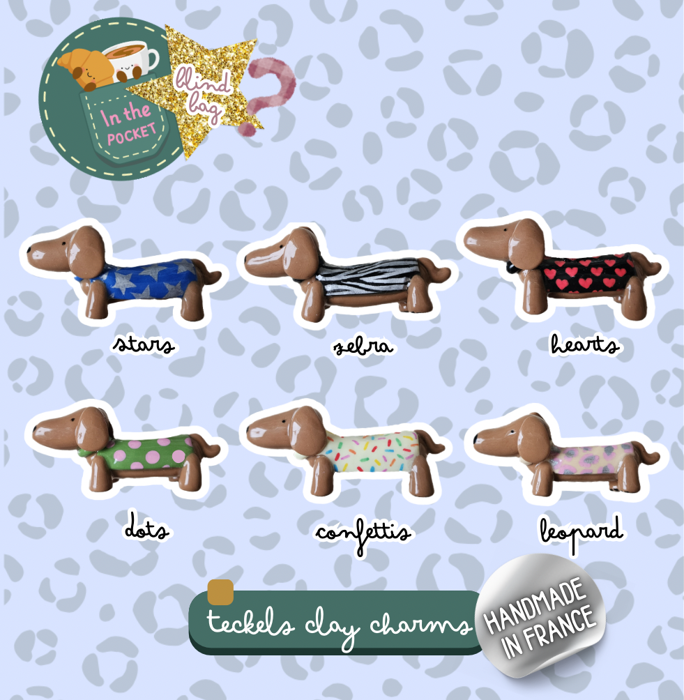 Pochette Mystère - Charms Teckels 8 🐾