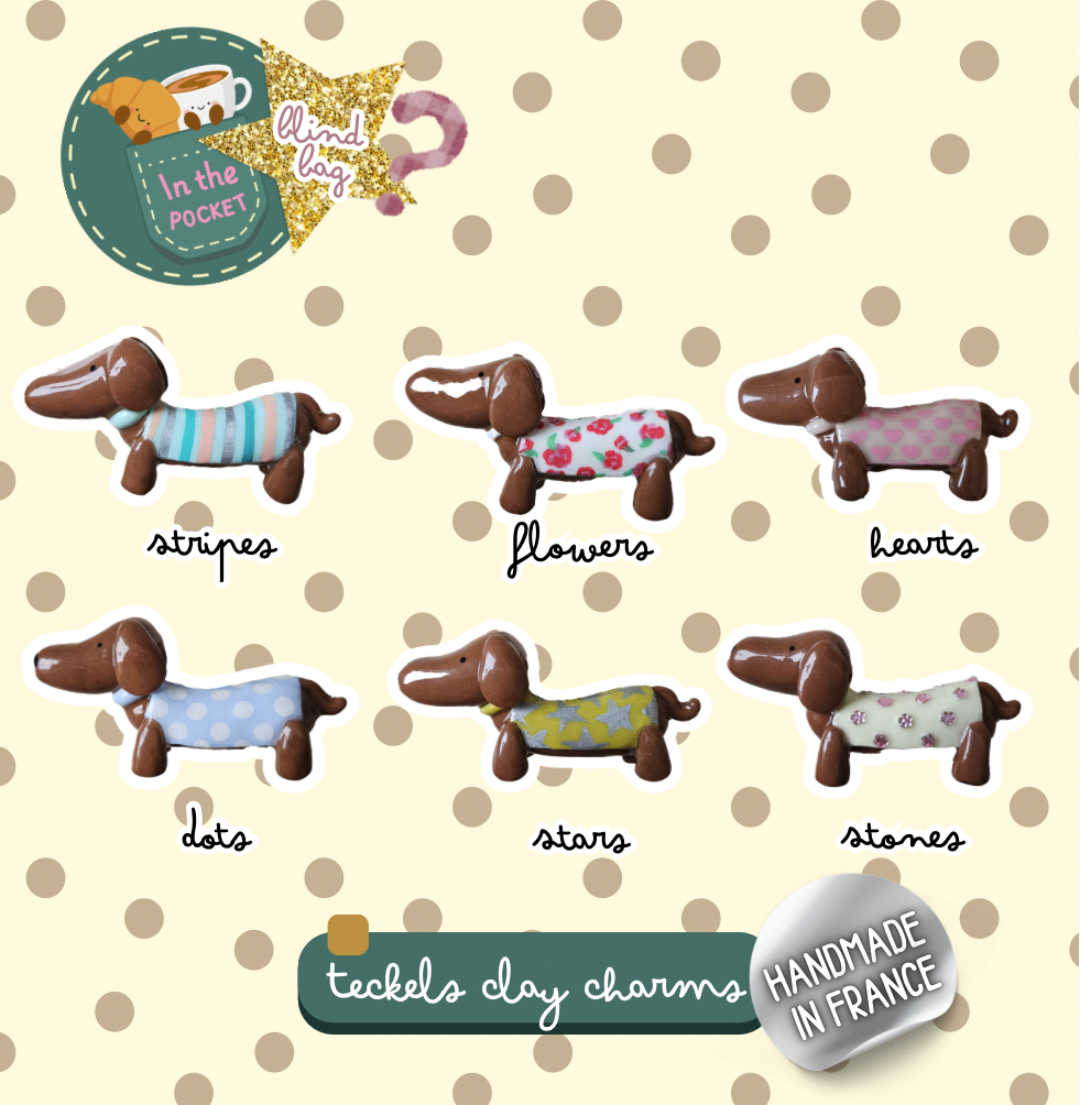 Pochette Mystère - Charms Teckels 4 🐾