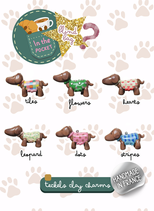 Blind bag - Charm's Teckels