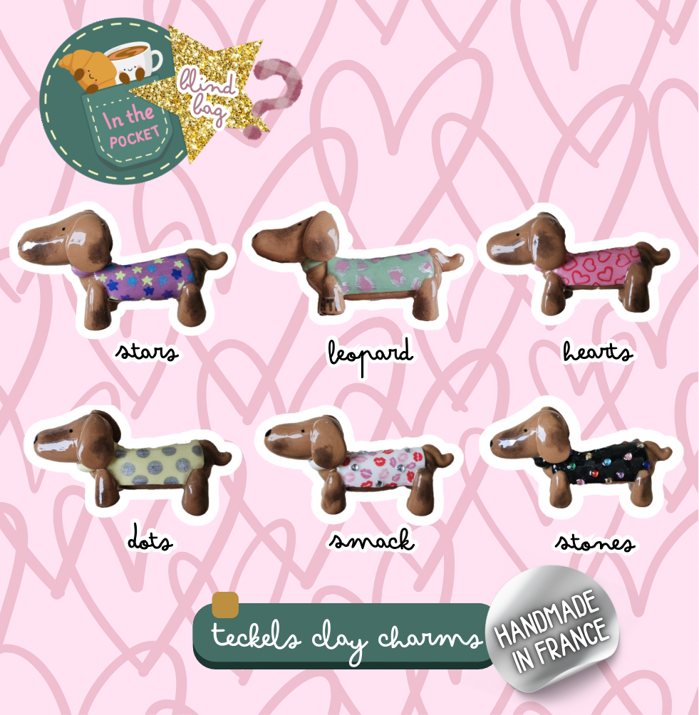 Pochette Mystère - Charms Teckels 3 🐾