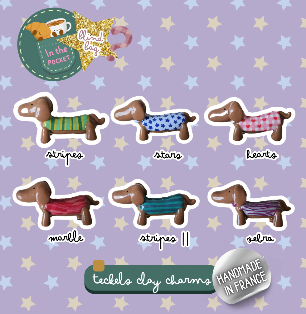 Pochette Mystère - Charms Teckels 6 🐾