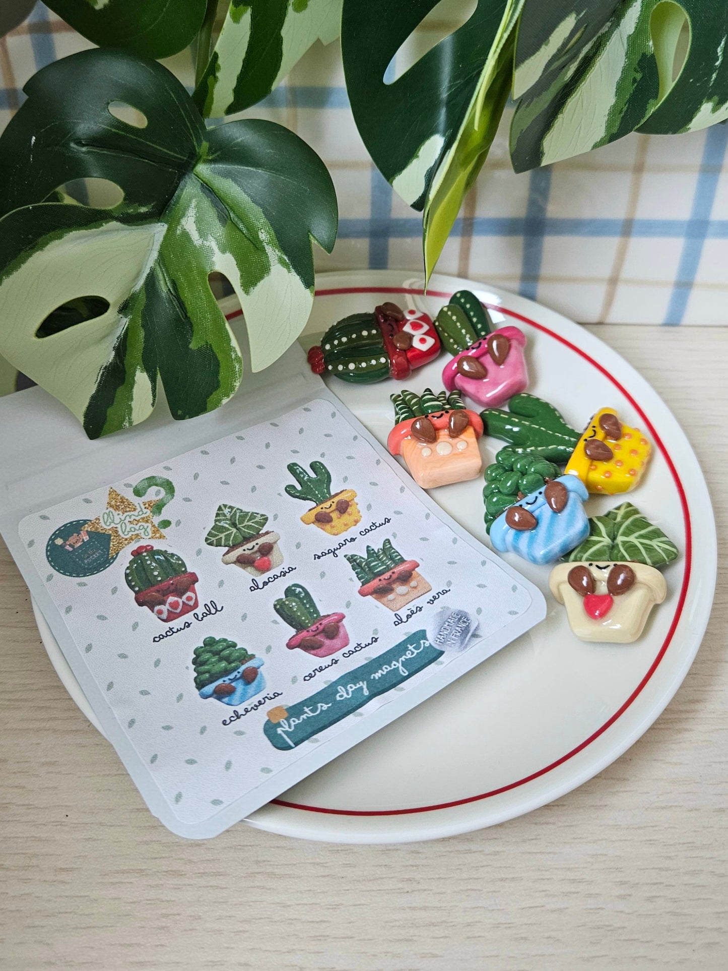 Blind bag - Magnets Plantes