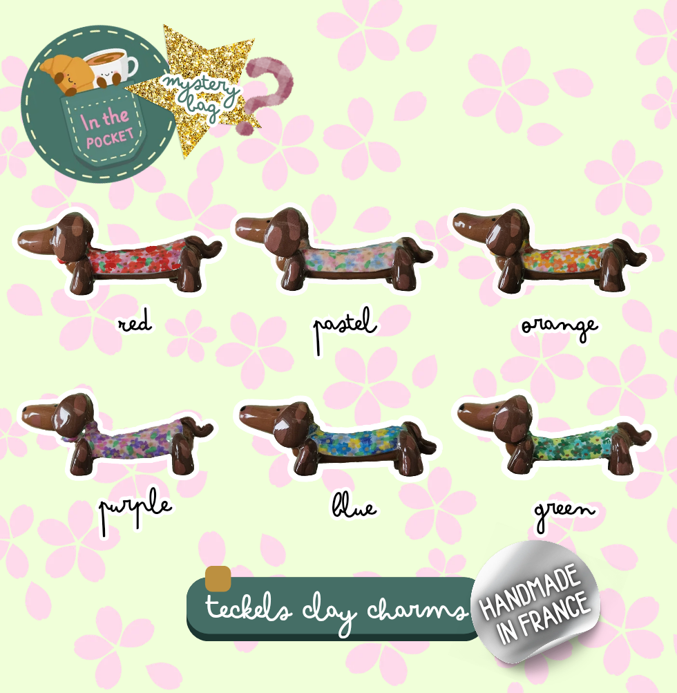 Pochette Mystère Charms Teckels - Thème Fleurs