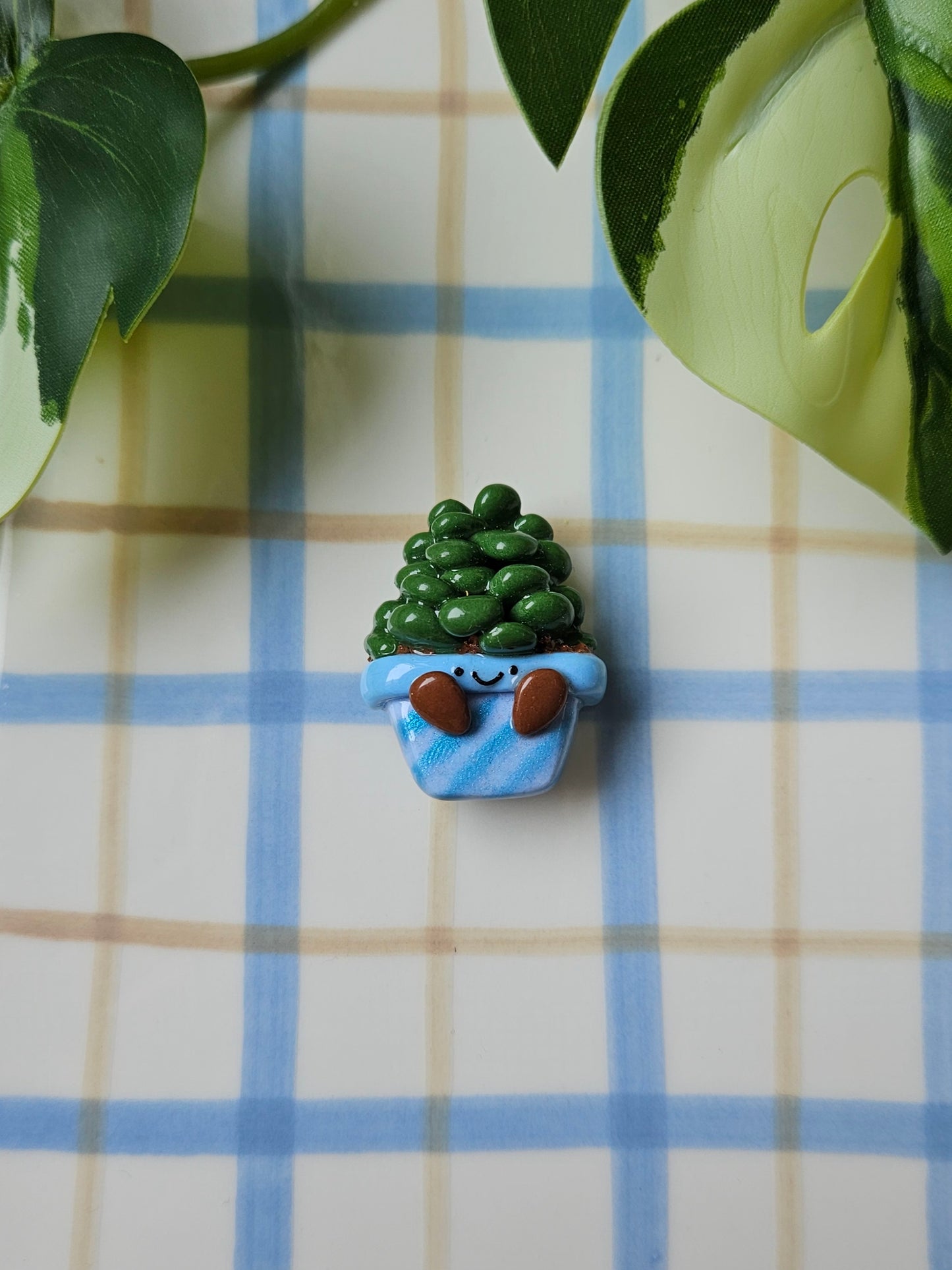 Blind bag - Magnets Plantes