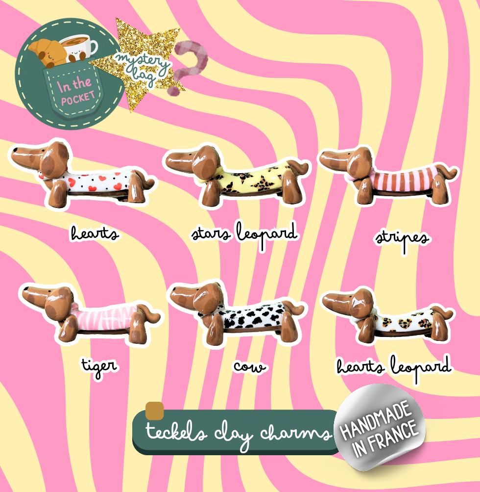 Pochette Mystère Charms Teckels - Thème Mix 2