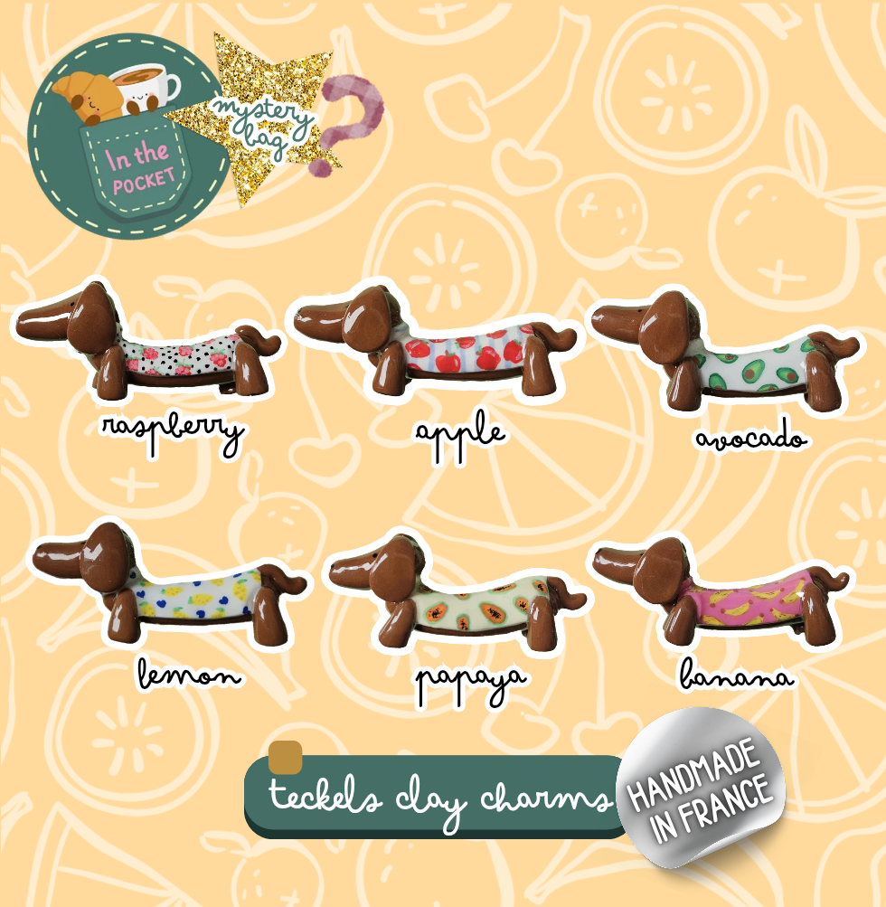 Pochette Mystère Charms Teckels - Thème Fruits 1