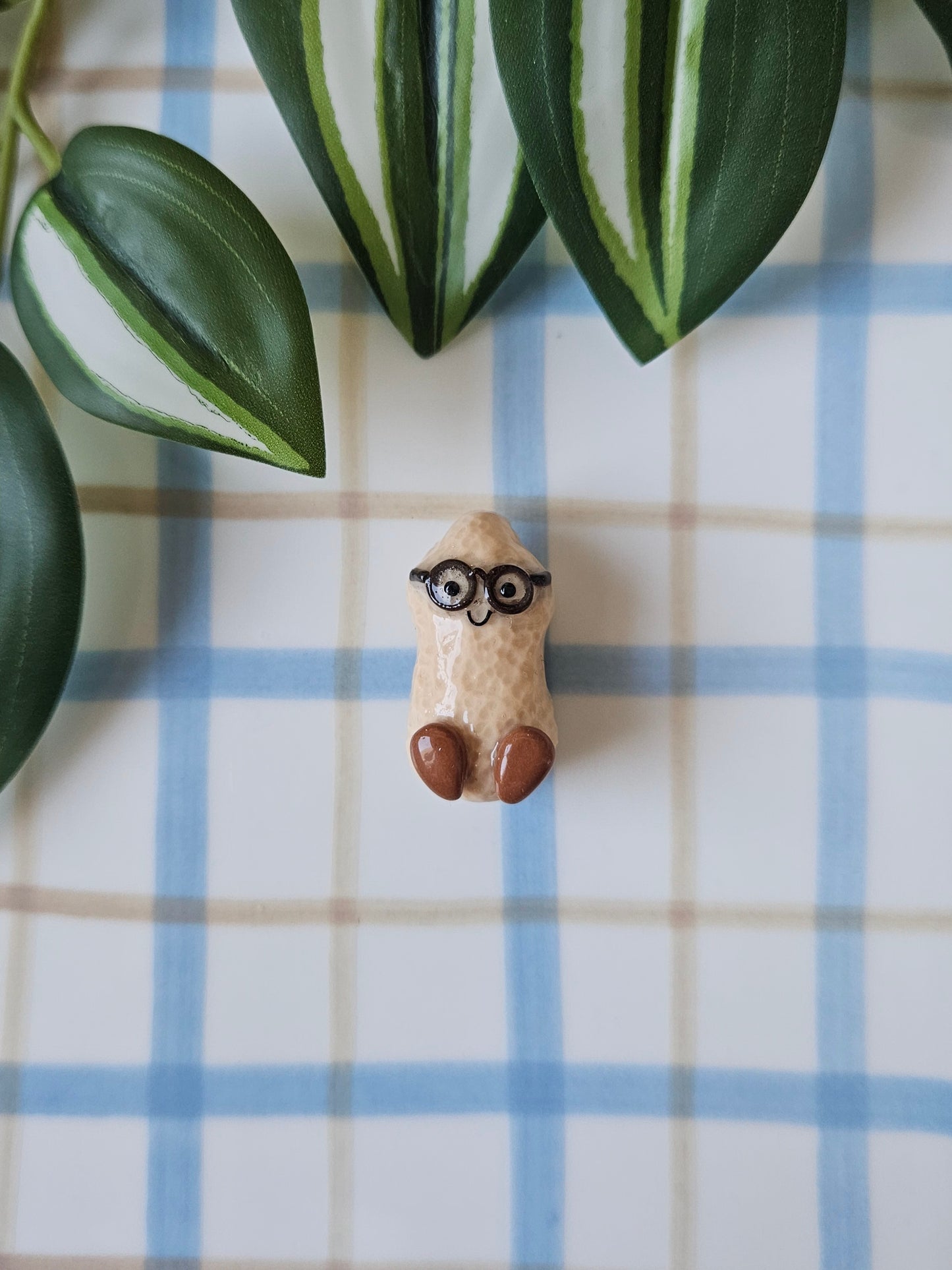 Le magnet Cacahuète à Lunettes