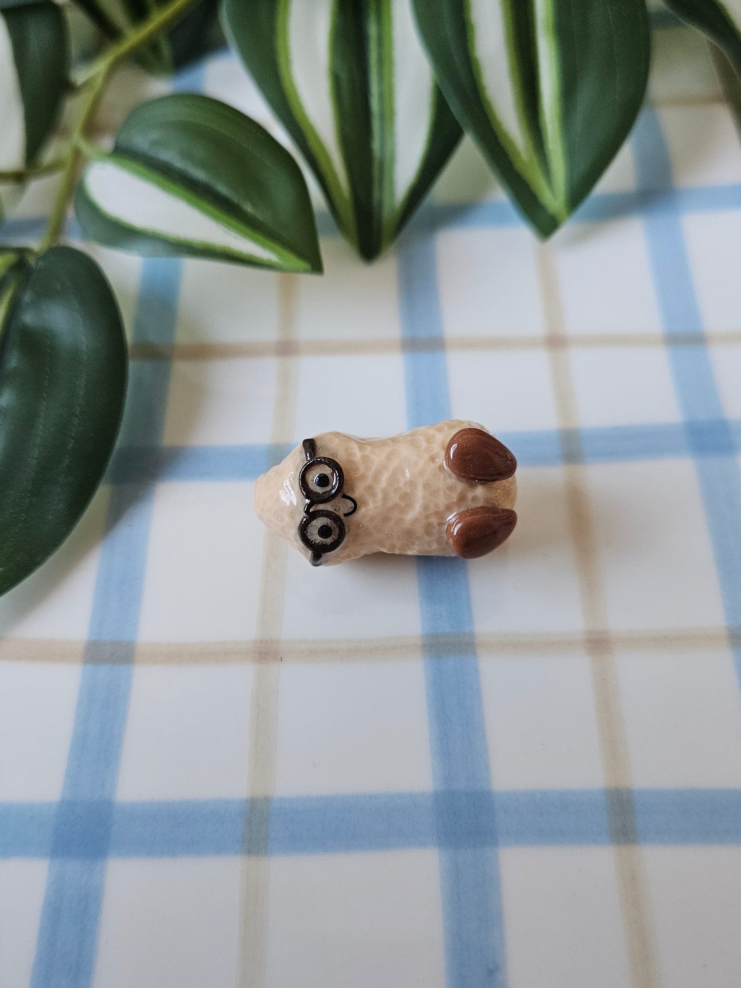 Le magnet Cacahuète à Lunettes