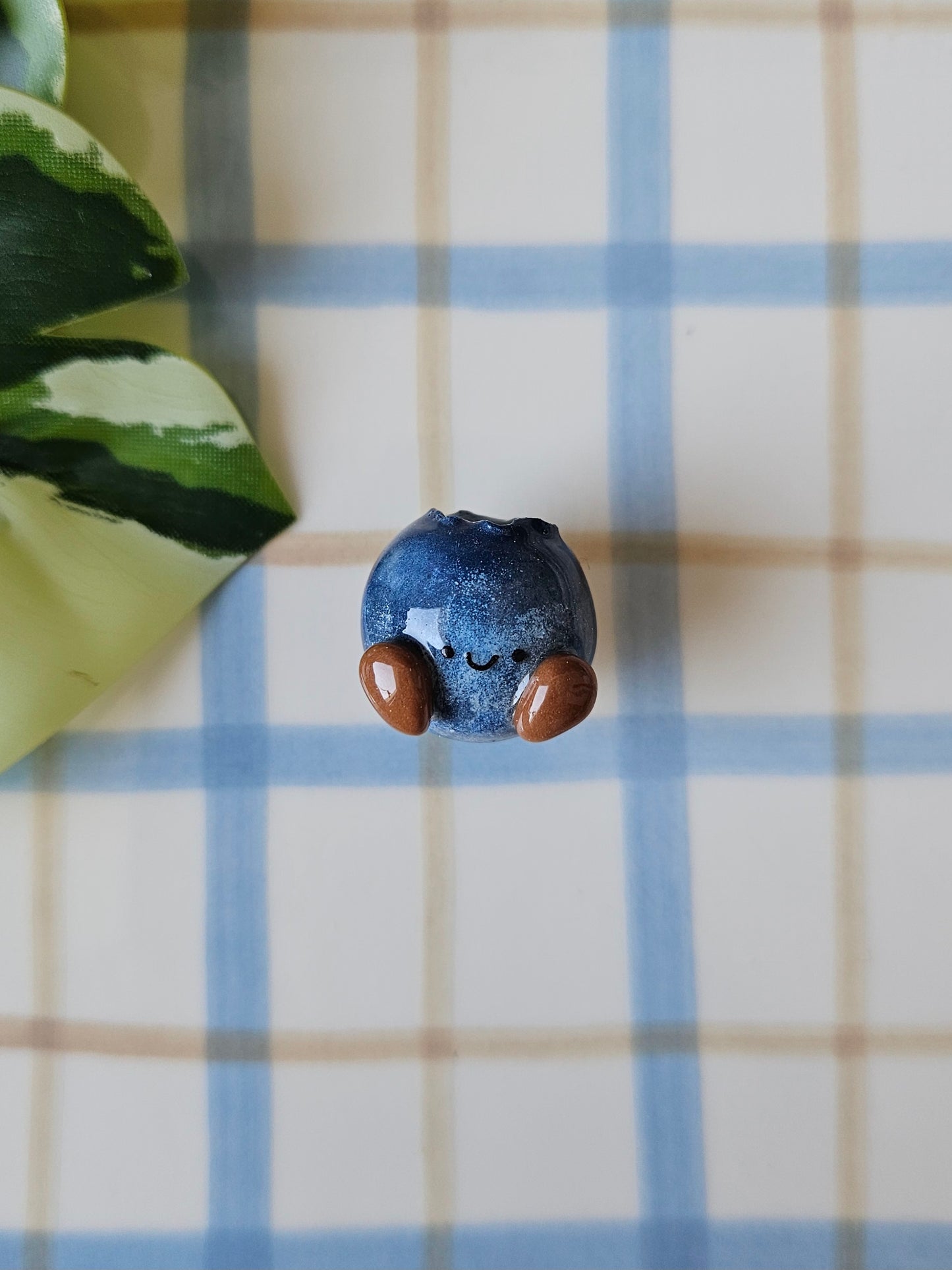 Le magnet Myrtille