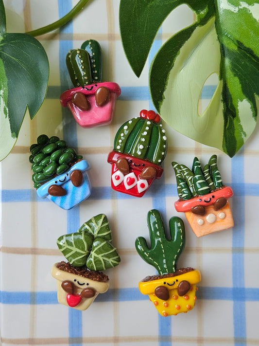 Blind bag - Magnets Plantes
